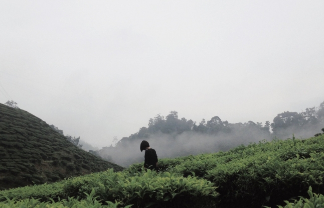 gallery/vsco_102614