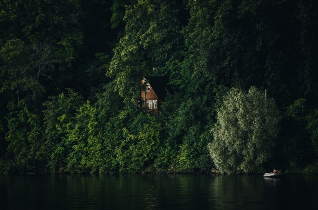 gallery/daniil-silantev-364304